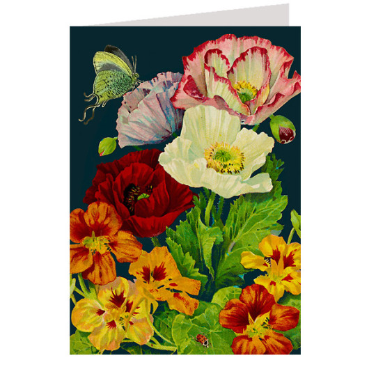 Nasturtiums and Poppies on Black Beautiful Floral Card ~ England